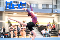 2023.03.24 MO State Gymnastics -Gage